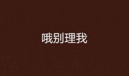 别理我在线观看,揭秘都市情感纠葛的温情故事